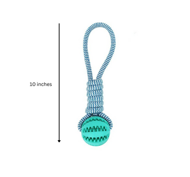 3-Pack Squeaky Toothbrush and Cotton Rope Ball Dog Toys Toys Dog Products 39 $ Whiskers