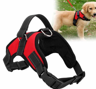 Adjustable Dog Harness Leashes, Collars & Petwear Dog Collar 37 $ Whiskers