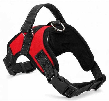 Adjustable Dog Harness Leashes, Collars & Petwear Dog Collar 37 $ Whiskers