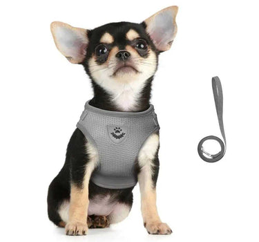 Adjustable Reflective Dog and Cat Harness 10 Cat Leashes Whiskers