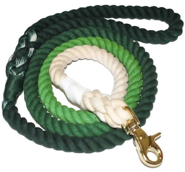 Aloe There Dog Leash Pets Dog Leashes 34 $ Whiskers