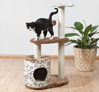 Casta Cat Tree Toys Cat Product 67 $ Whiskers