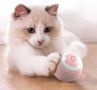 Cat Interactive Ball Training Self-moving Kitten Electric Cat Ball Other Cat Product 29 $ Whiskers