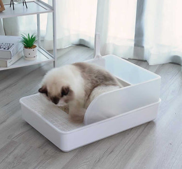 Cat Litter Box Pets Cat Product 49 $ Whiskers