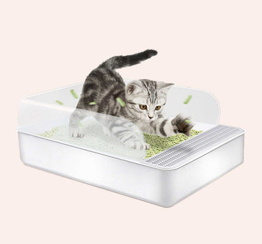 Cat Litter Box Pets Cat Product 49 $ Whiskers