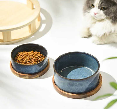 Ceramic Pet Food &Water Feeder Cat Feeders 19 $ Whiskers