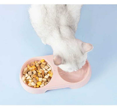 Double Plastic Macaron Pet Bowl 12 Cat Feeders Whiskers