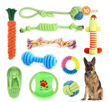 Durable Molar Dog Toys - Bite-Resistant Chew Set Toys Cat Product 39 $ Whiskers