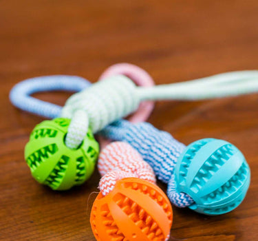 Durable Rubber Ball Chew Toy with Cotton Rope 16 Toys Dog Products Whiskers