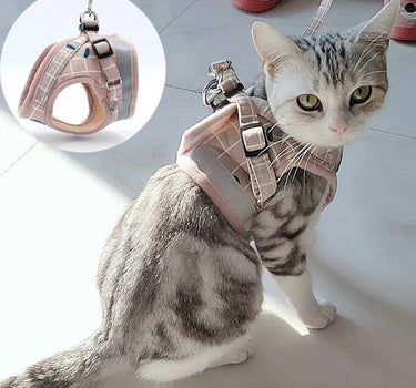 Fashionable Cat Harnesses, Mesh Pet Harness and Leash Set Cat Leashes 8 $ Whiskers