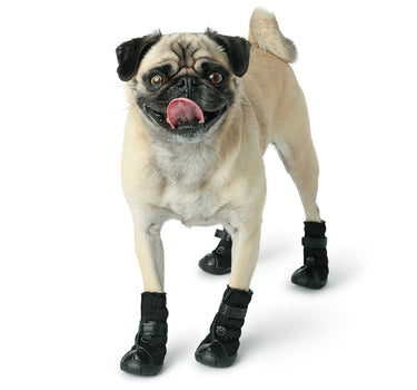 Flexi-Paw Dog Boots - Black Leashes, Collars & Petwear Dog Products 45 $ Whiskers