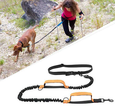 Hands Free Dog Leash For Running Double Handles Elastic 32 Other Dog Leashes Whiskers