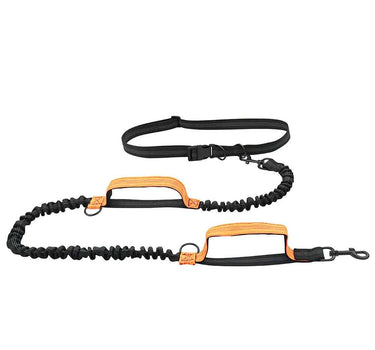 Hands Free Dog Leash For Running Double Handles Elastic 32 Other Dog Leashes Whiskers