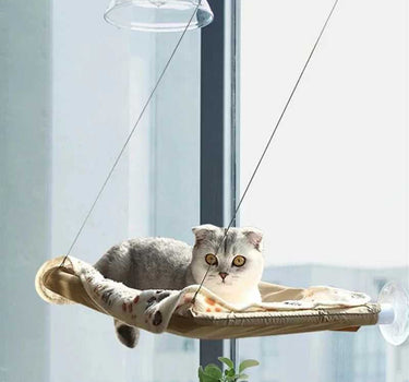 Hanging Cat Hammock 19 Cat Cozy Bed Whiskers