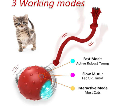 Interactive Cat Toy Ball with Bird Chirping Motion Sensor Cat Product 29 $ Whiskers