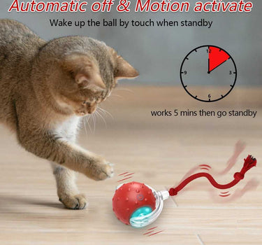 Interactive Cat Toy Ball with Bird Chirping Motion Sensor Cat Product 29 $ Whiskers