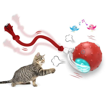 Interactive Cat Toy Ball with Bird Chirping Motion Sensor Cat Product 29 $ Whiskers