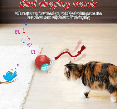 Interactive Cat Toy Ball with Bird Chirping Motion Sensor Cat Product 29 $ Whiskers