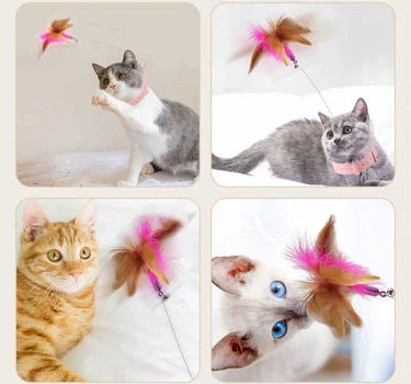 Interactive Feather Teaser Wand with Bell for Cats 12 Cat Product Whiskers