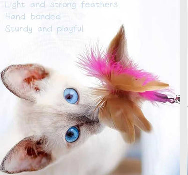 Interactive Feather Teaser Wand with Bell for Cats 12 Cat Product Whiskers