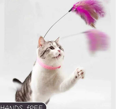 Interactive Feather Teaser Wand with Bell for Cats 12 Cat Product Whiskers