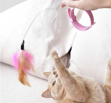 Interactive Feather Teaser Wand with Bell for Cats 12 Cat Product Whiskers