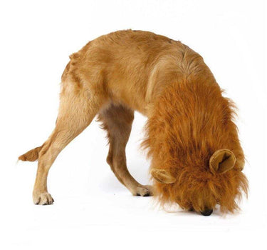 Lion-Themed Dog Wig – Turn Your Dog into a Majestic Lion Pets Dog Products 21 $ Whiskers