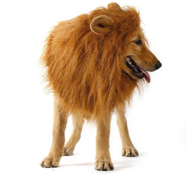 Lion-Themed Dog Wig – Turn Your Dog into a Majestic Lion Pets Dog Products 21 $ Whiskers