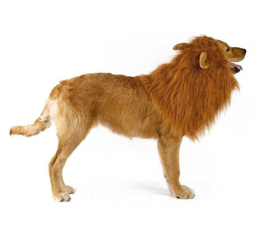 Lion-Themed Dog Wig – Turn Your Dog into a Majestic Lion Pets Dog Products 21 $ Whiskers