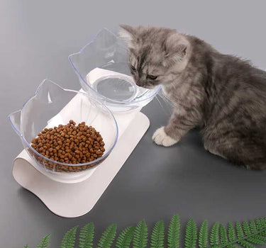 Non-Slip Double Pet Bowl 6 Cat Feeders Whiskers