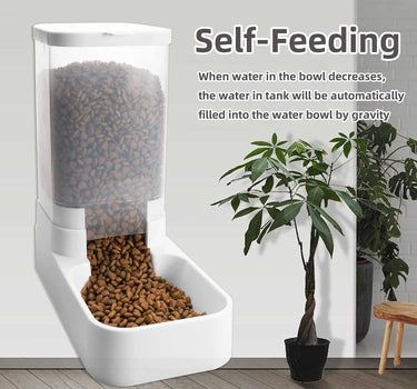 Pet Automatic Food Dispenser 29 Cat Feeders Whiskers