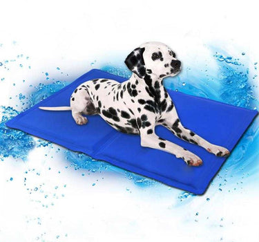 Pet Cooling Mats 28 Pets Dog Products Whiskers