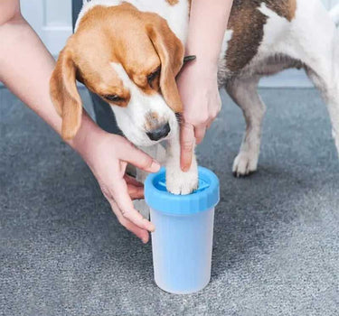 Pet Wash Cup 29 Pets Dog Products Whiskers