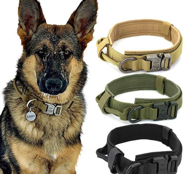 Quick-Ship Tactical Military Dog Collar 26 Leashes, Collars & Petwear Dog Collar Whiskers