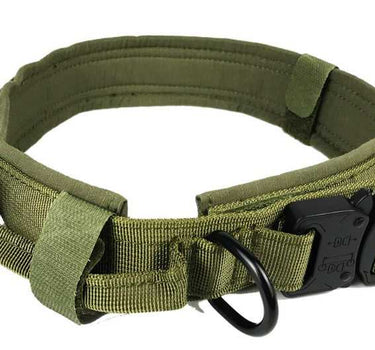 Quick-Ship Tactical Military Dog Collar 26 Leashes, Collars & Petwear Dog Collar Whiskers