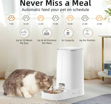 Rojeco Automatic Cat Feeder Pet Smart WiFi Cat Food Kibble Dispenser Other Cat Feeders 95 $ Whiskers