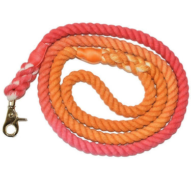 Sunkissed - Dog Leash 33 Pets Dog Leashes Whiskers