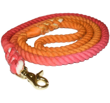 Sunkissed - Dog Leash 33 Pets Dog Leashes Whiskers