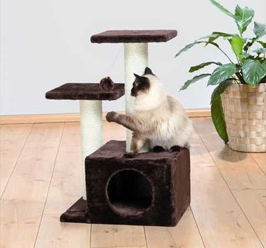 Valencia Cat Tree 79 Toys Cat Product Whiskers